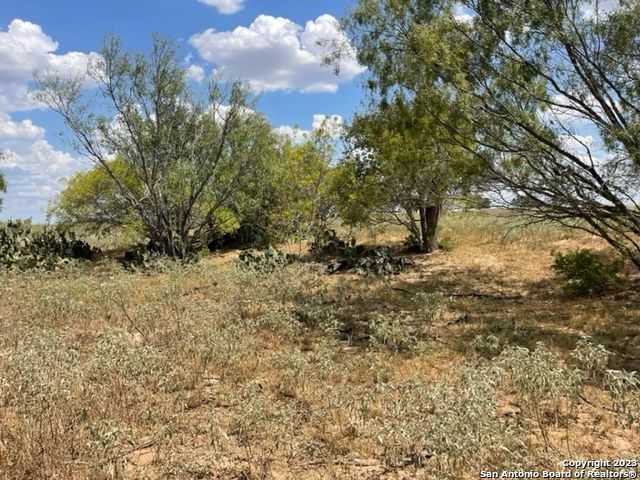 04 County Road 232, Floresville, TX 78114