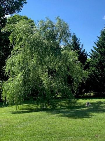 3988 Humphrey Mill Road, Mineral Bluff, GA 30559