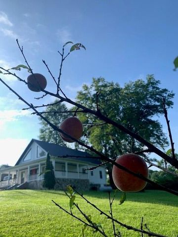 3988 Humphrey Mill Road, Mineral Bluff, GA 30559