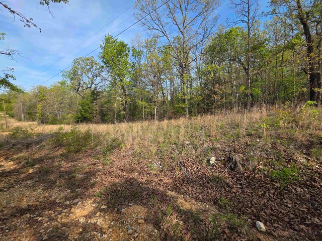 L-10 B-2 Rocky Top Trail, Ozark Acres, AR 72482