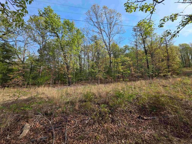 L-10 B-2 Rocky Top Trail, Ozark Acres, AR 72482