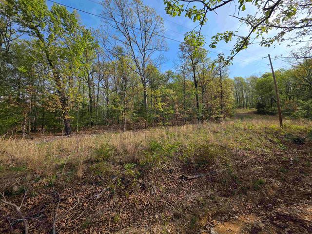 L-10 B-2 Rocky Top Trail, Ozark Acres, AR 72482