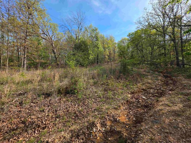 L-10 B-2 Rocky Top Trail, Ozark Acres, AR 72482