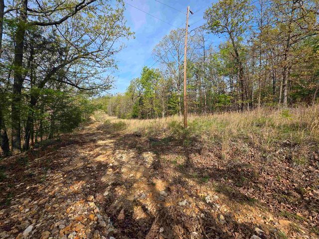 L-10 B-2 Rocky Top Trail, Ozark Acres, AR 72482
