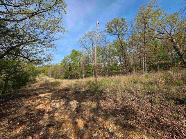 L-10 B-2 Rocky Top Trail, Ozark Acres, AR 72482