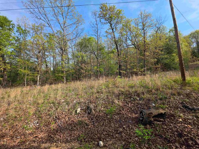L-10 B-2 Rocky Top Trail, Ozark Acres, AR 72482