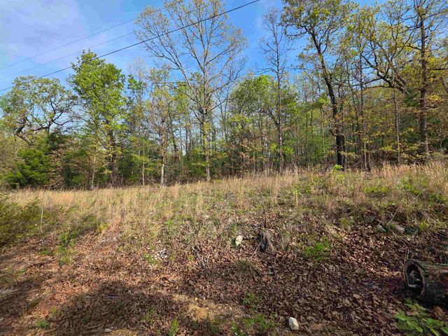 L-10 B-2 Rocky Top Trail, Ozark Acres, AR 72482