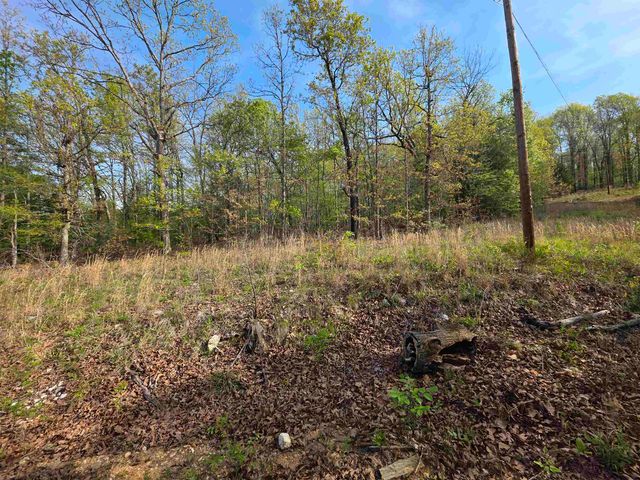 L-10 B-2 Rocky Top Trail, Ozark Acres, AR 72482