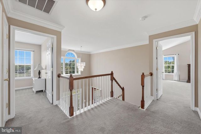 16205 JONELLA FARM DR, Hillsboro, VA 20132