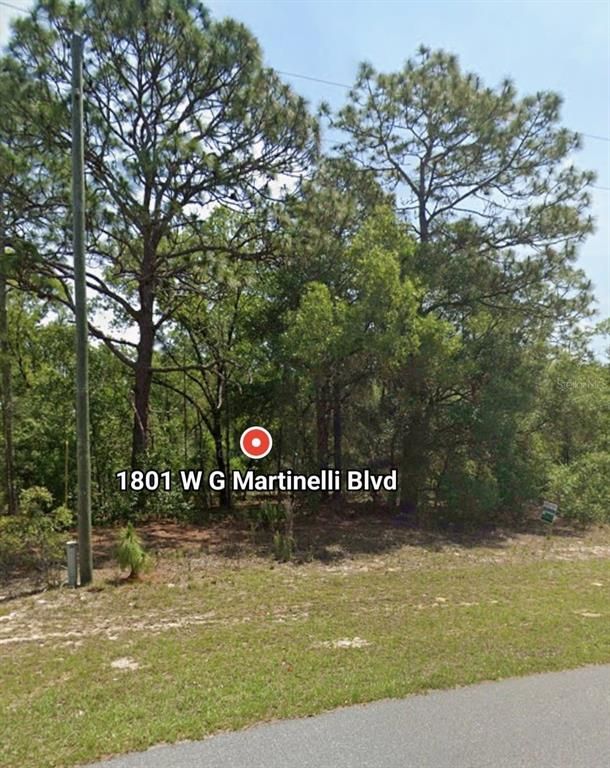 W G MARTINELLI BLVD 1801, Citrus Springs, FL 34434