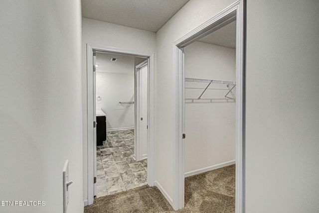 223 Ambernic Way, Sweetwater, TN 37874