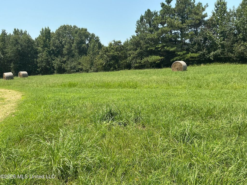 478 Deer Creek Road, Byhalia, MS 38611 — exterior