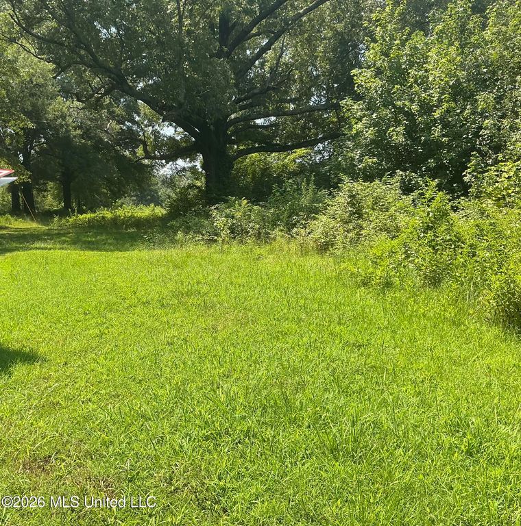 478 Deer Creek Road, Byhalia, MS 38611 — photo 3