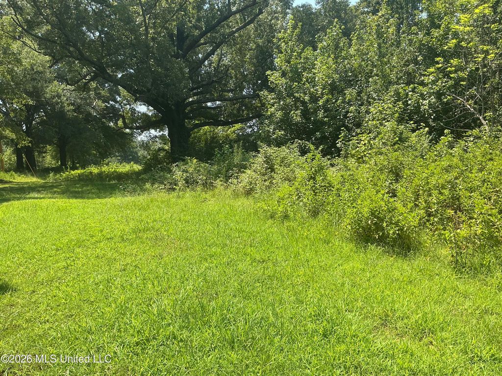 478 Deer Creek Road, Byhalia, MS 38611 — photo 5