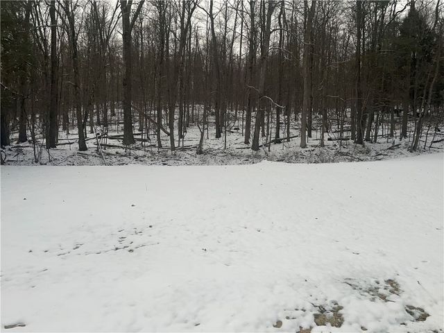 9 Mount Pleasant Drive, Bainbridge, NY 13733