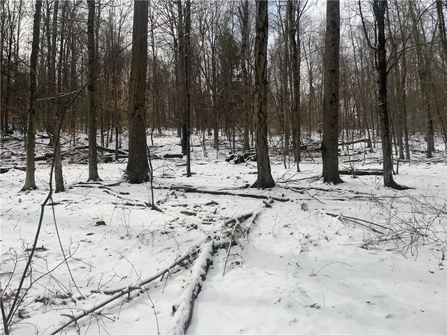 9 Mount Pleasant Drive, Bainbridge, NY 13733