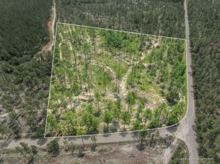 6 Acre Crown Zellerback Rd., Lumberton, MS 39455