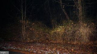 337 DOGWOOD RD, Millersville, MD 21108