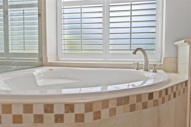 22810 COLLRIDGE DRIVE, Land O Lakes, FL 34639