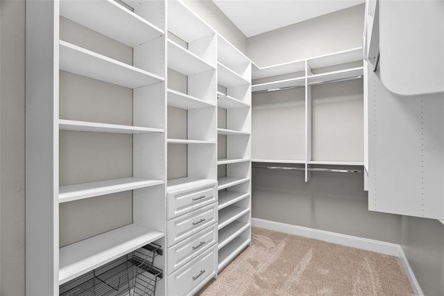 22810 COLLRIDGE DRIVE, Land O Lakes, FL 34639