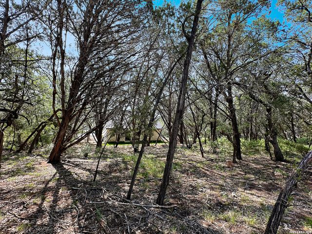 197 SPRING MOUNTAIN DR, Canyon Lake, TX 78133
