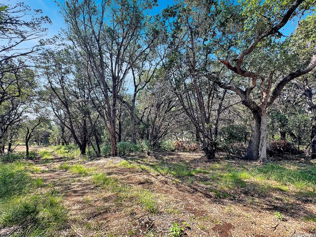 197 SPRING MOUNTAIN DR, Canyon Lake, TX 78133