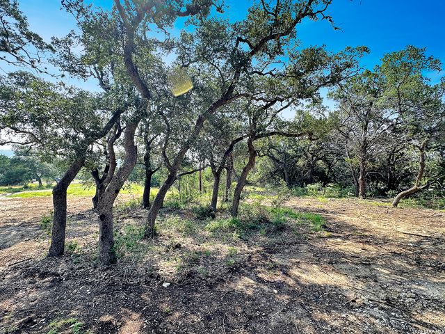 197 SPRING MOUNTAIN DR, Canyon Lake, TX 78133