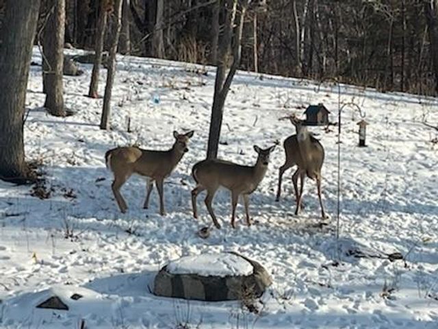 4311 Deere trail, Chaska, MN 55318