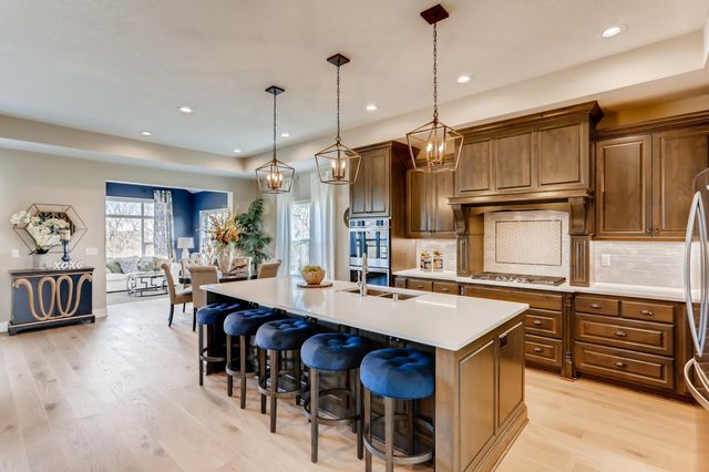 4311 Deere trail, Chaska, MN 55318