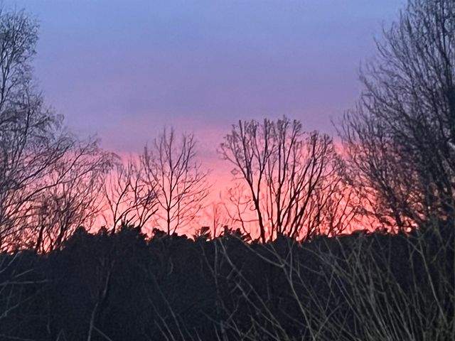 307 Dane Road, Center Harbor, NH 03226