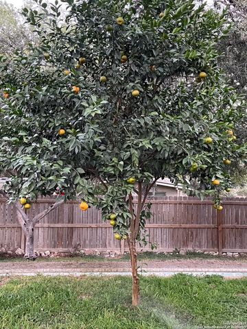 8702 Charro Ln, San Antonio, TX 78217