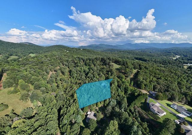775 Hillside Drive, Warne, NC 28909