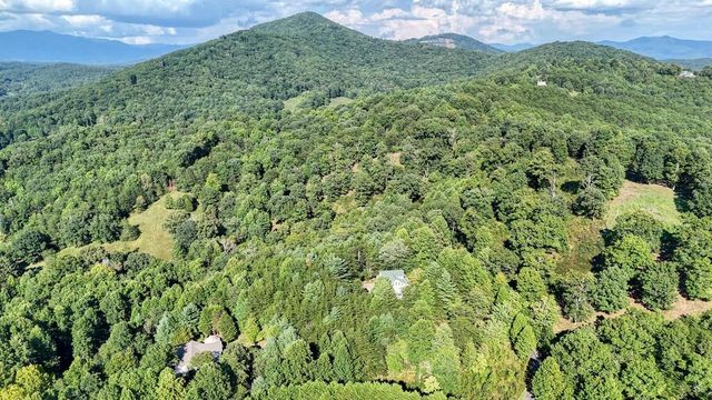 775 Hillside Drive, Warne, NC 28909