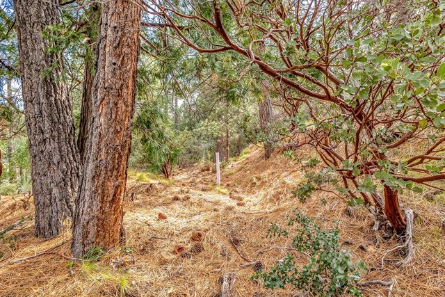 0 Lakeview Drive, Idyllwild, CA 92549