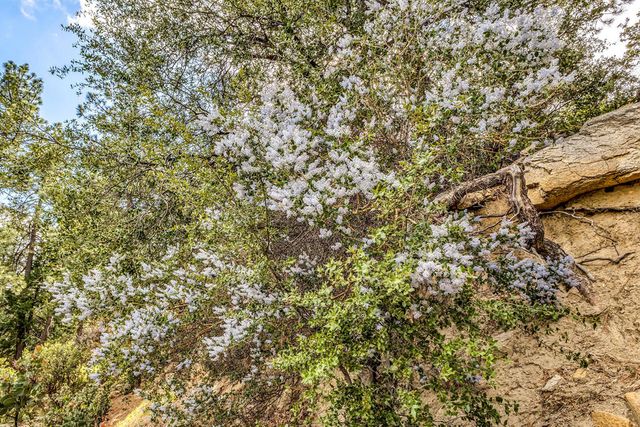 0 Lakeview Drive, Idyllwild, CA 92549