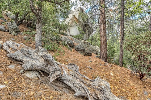 0 Lakeview Drive, Idyllwild, CA 92549