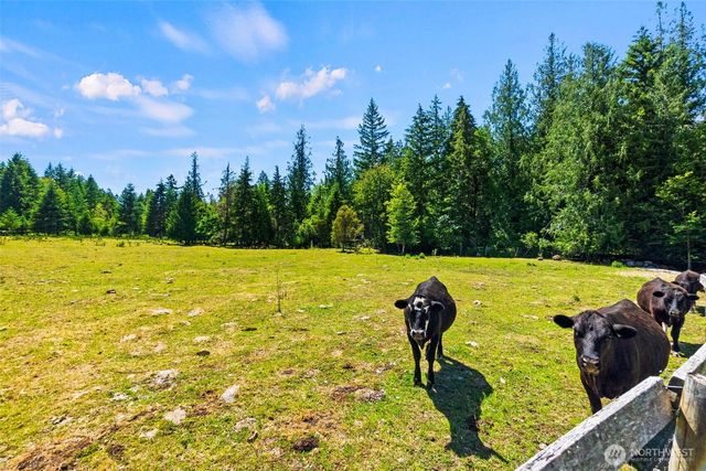 14710 Mcintosh Lane SE, Tenino, WA 98589