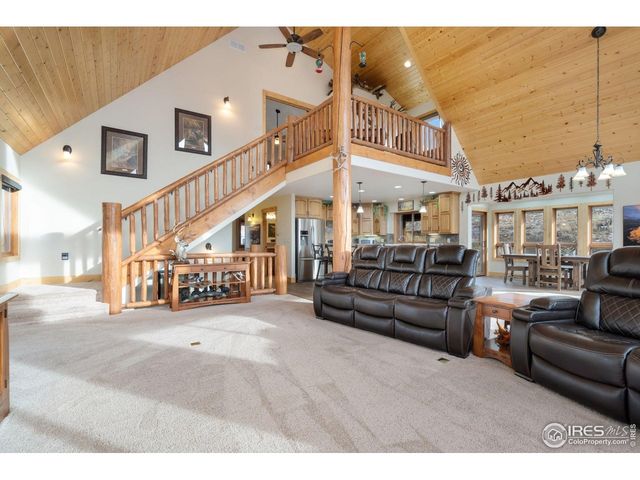 181 Sheep Mountain Ct, Livermore, CO 80536