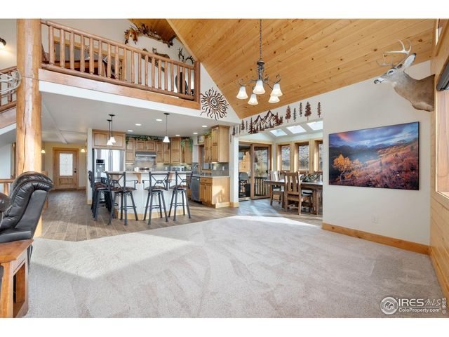 181 Sheep Mountain Ct, Livermore, CO 80536