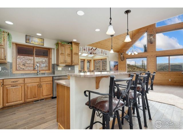 181 Sheep Mountain Ct, Livermore, CO 80536