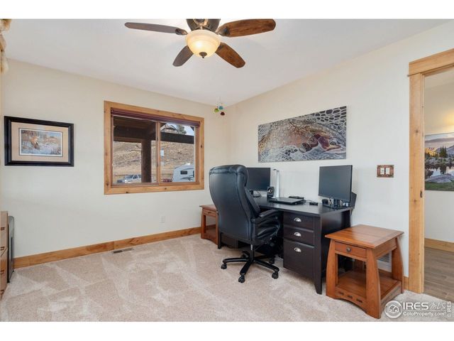 181 Sheep Mountain Ct, Livermore, CO 80536