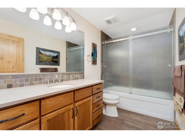 181 Sheep Mountain Ct, Livermore, CO 80536