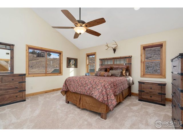 181 Sheep Mountain Ct, Livermore, CO 80536