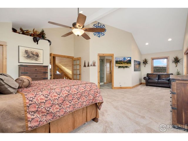 181 Sheep Mountain Ct, Livermore, CO 80536