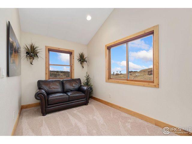 181 Sheep Mountain Ct, Livermore, CO 80536