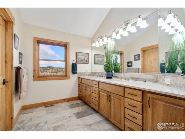 181 Sheep Mountain Ct, Livermore, CO 80536