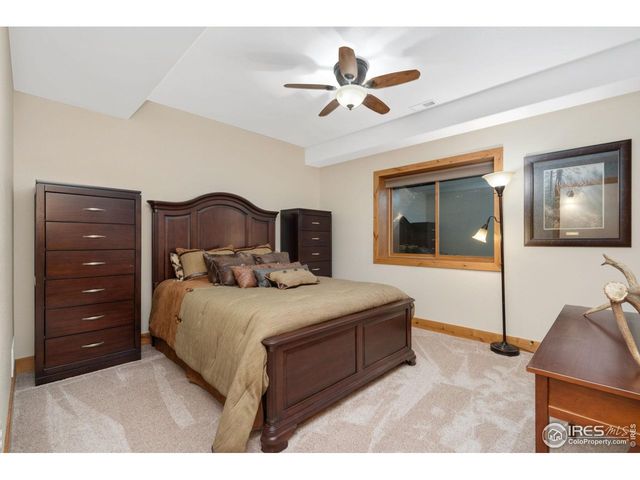 181 Sheep Mountain Ct, Livermore, CO 80536