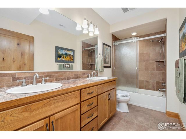 181 Sheep Mountain Ct, Livermore, CO 80536