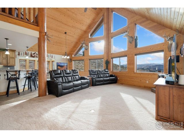 181 Sheep Mountain Ct, Livermore, CO 80536