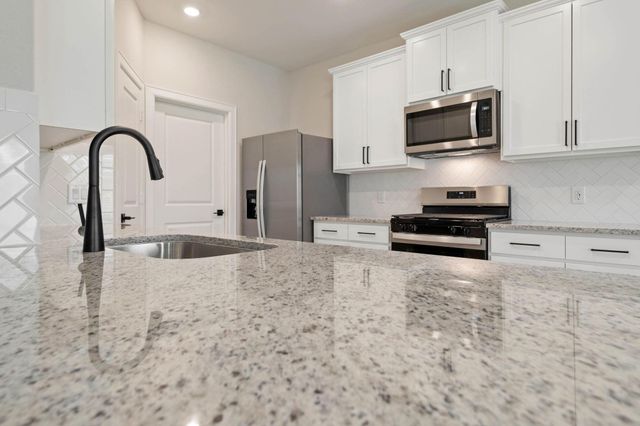 23103 Dadi Orchid Drive, Hockley, TX 77447